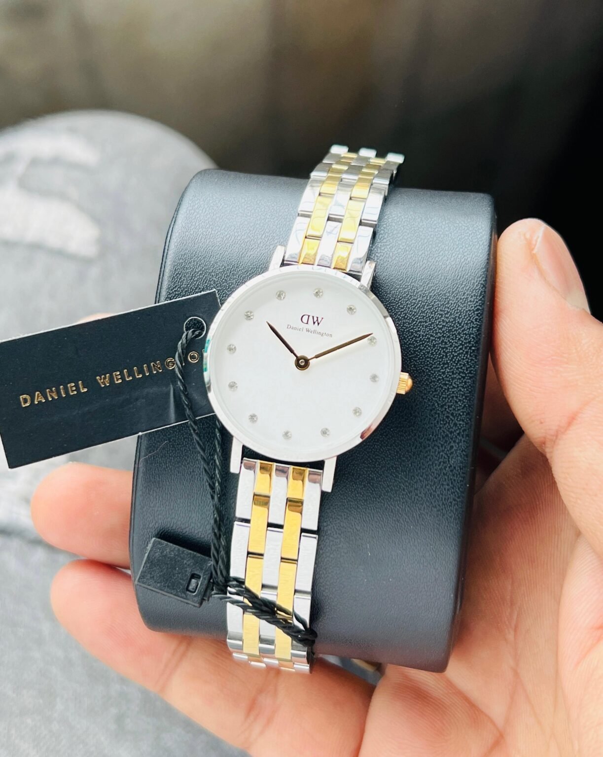 DW PETITE LUMINE BEZEL 5-LINK