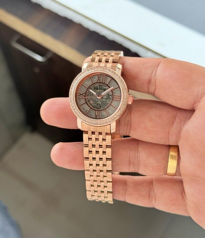 FOSSIL CURIOSITY 7AA PREMIUM